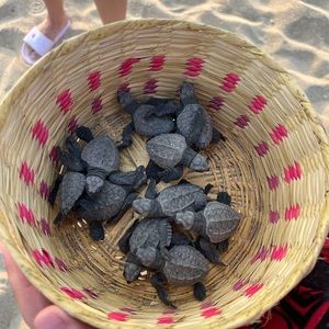 Meet your Posher, Kaylee